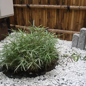 京都東寺えむず庵 別荘